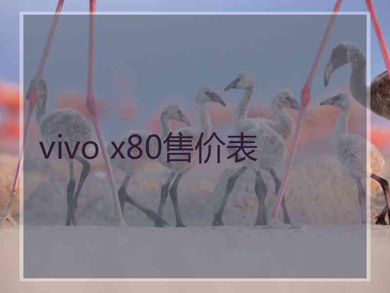 vivo x80售价表