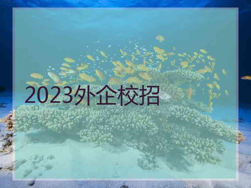 2023外企校招