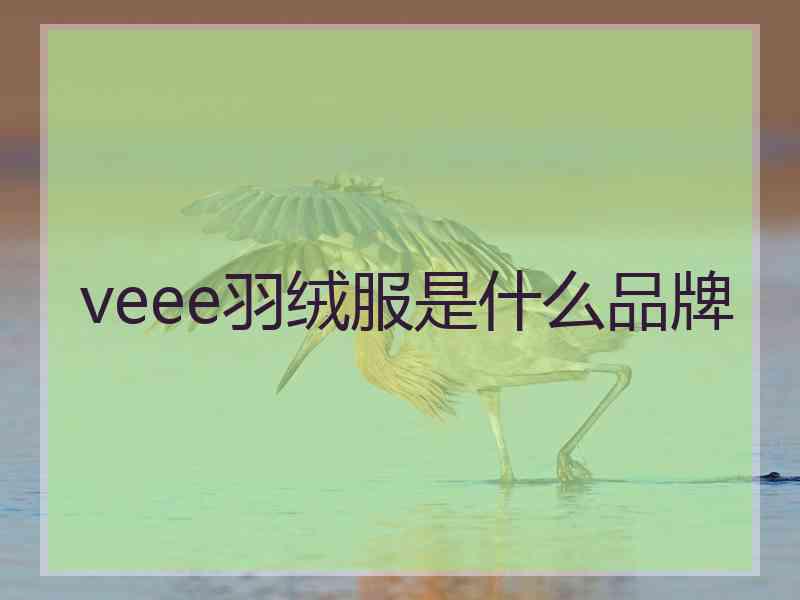 veee羽绒服是什么品牌