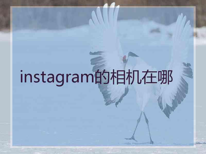 instagram的相机在哪