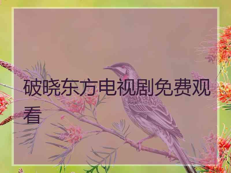 破晓东方电视剧免费观看