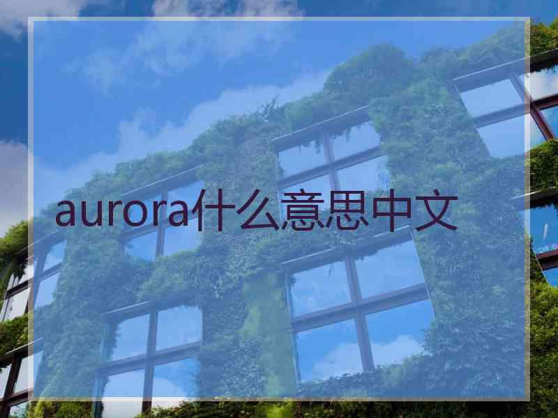 aurora什么意思中文