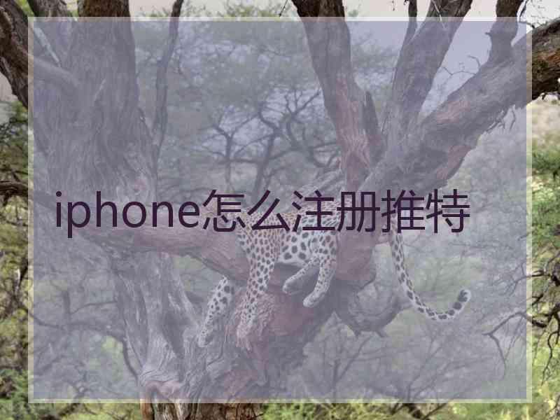 iphone怎么注册推特