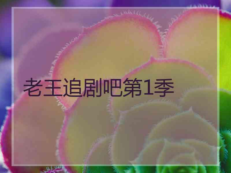 老王追剧吧第1季