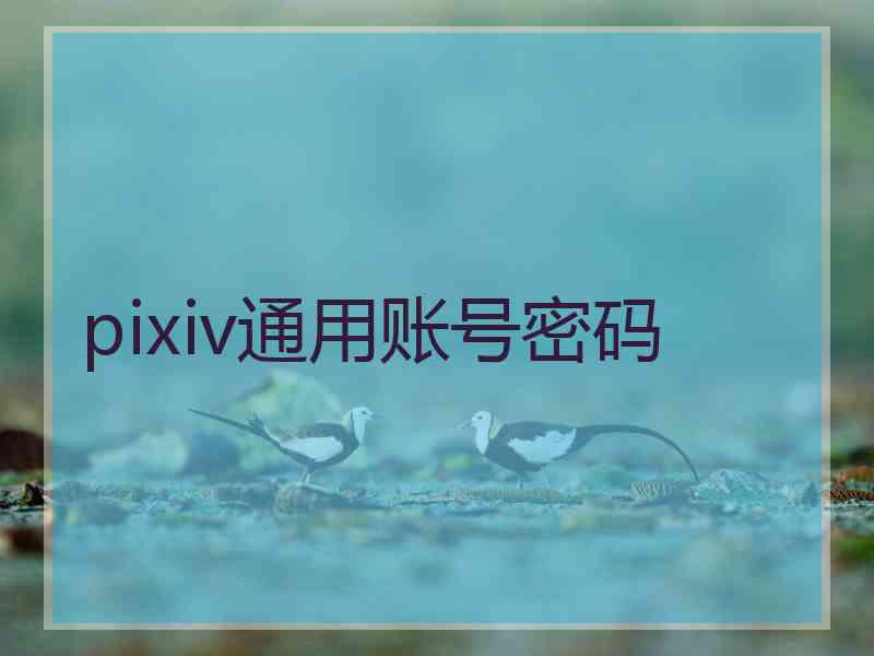 pixiv通用账号密码