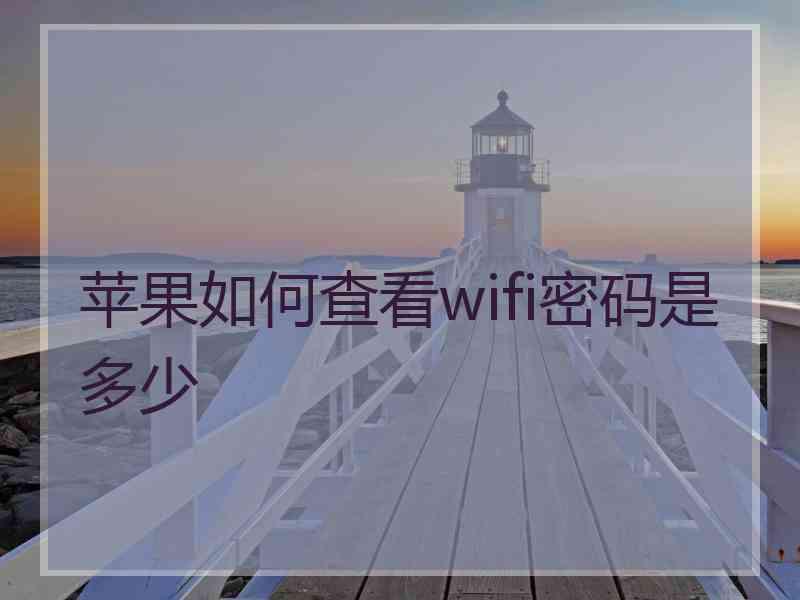 苹果如何查看wifi密码是多少