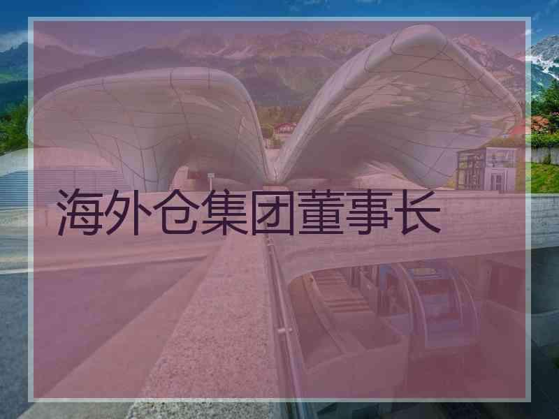 海外仓集团董事长