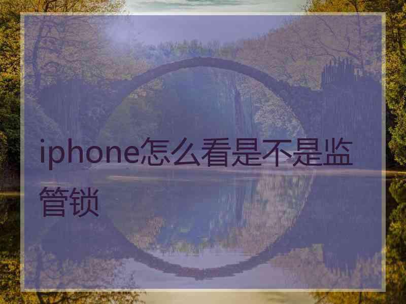 iphone怎么看是不是监管锁