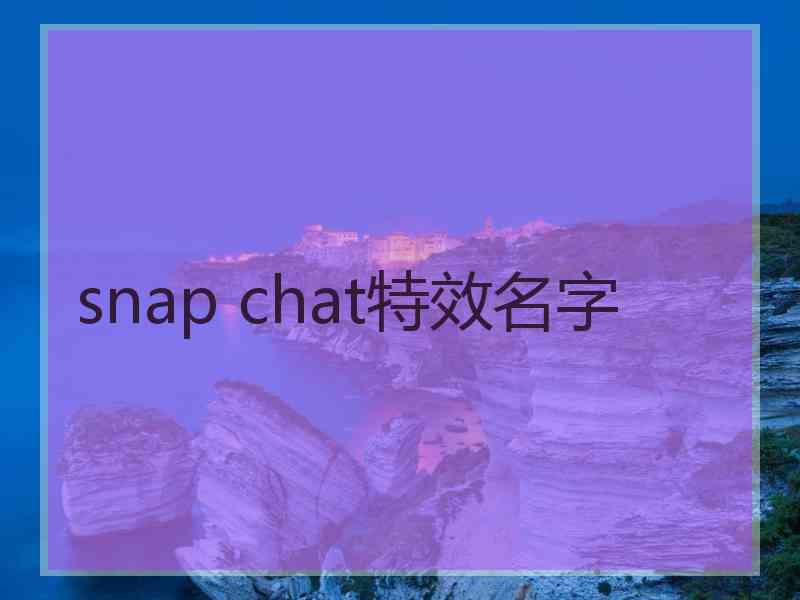 snap chat特效名字