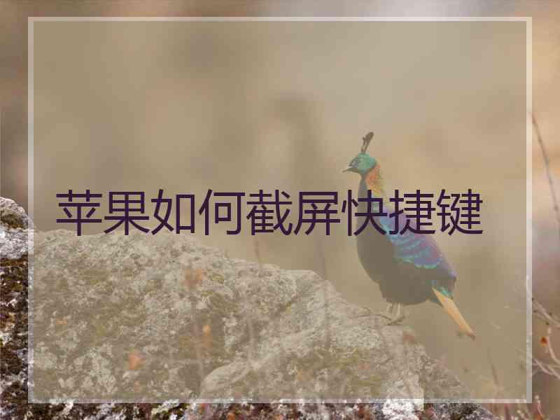 苹果如何截屏快捷键