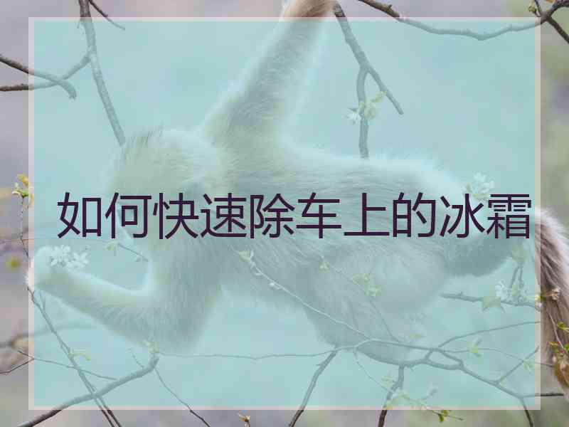 如何快速除车上的冰霜