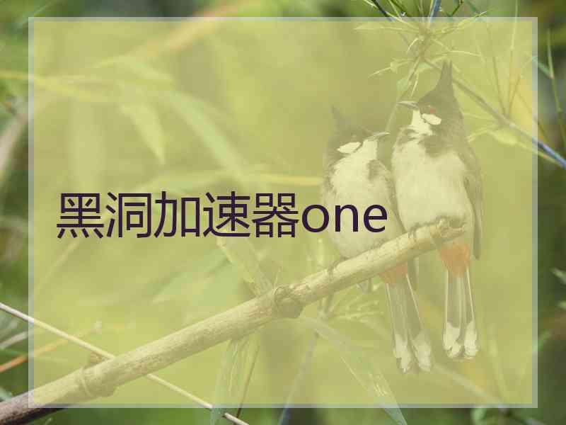 黑洞加速器one