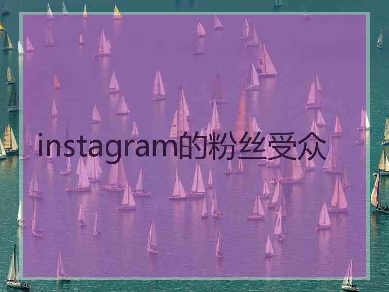 instagram的粉丝受众