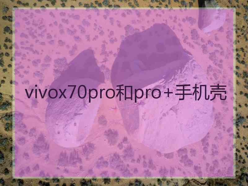 vivox70pro和pro+手机壳