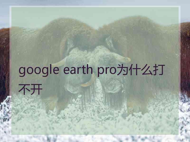 google earth pro为什么打不开