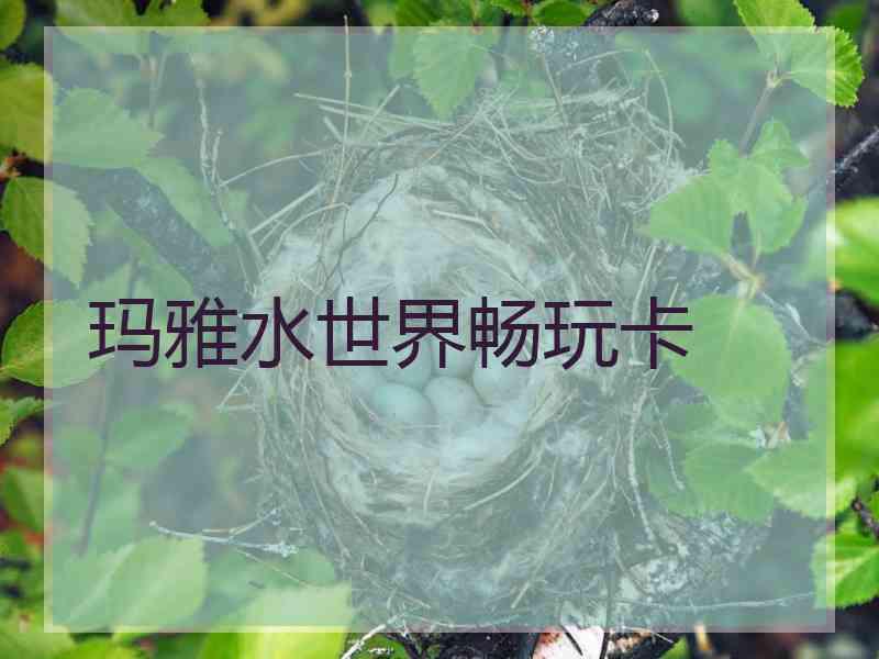 玛雅水世界畅玩卡