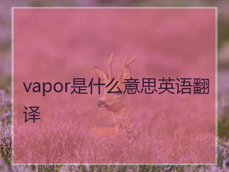 vapor是什么意思英语翻译