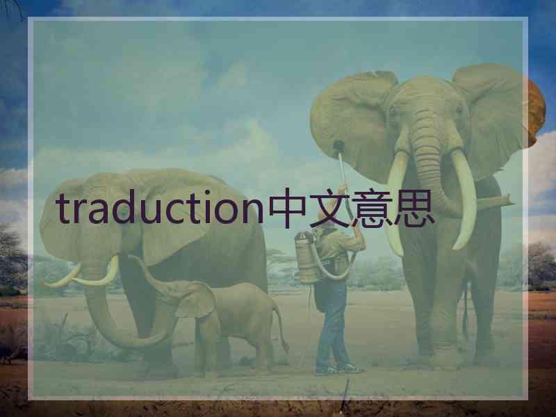 traduction中文意思