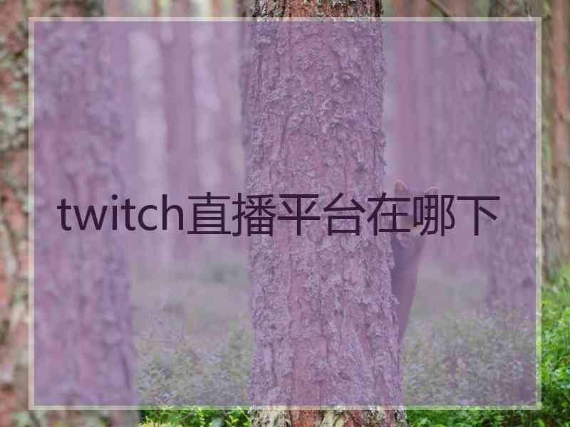 twitch直播平台在哪下