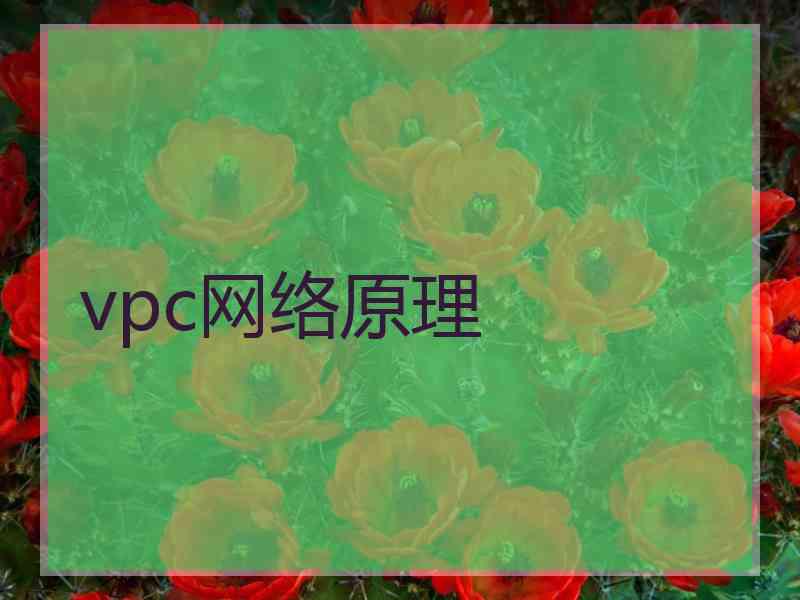 vpc网络原理