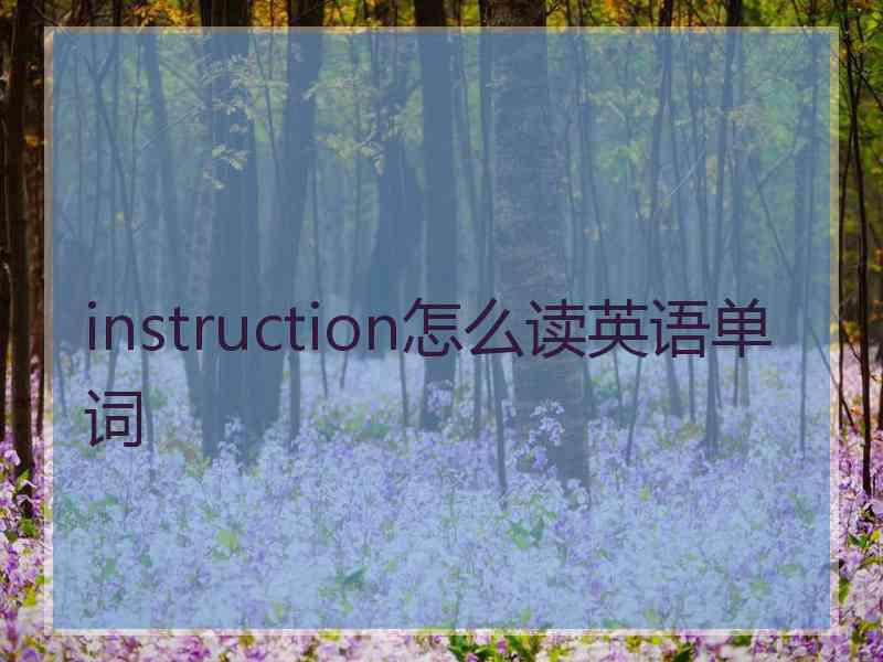 instruction怎么读英语单词