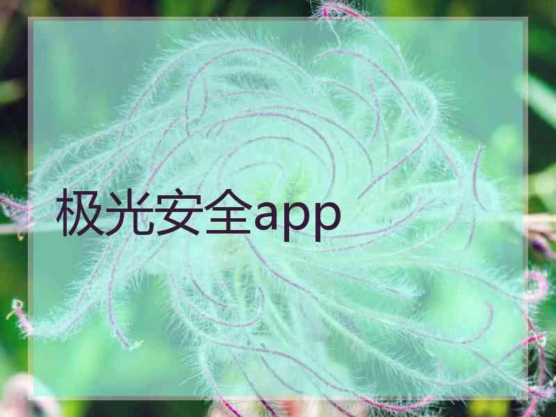 极光安全app