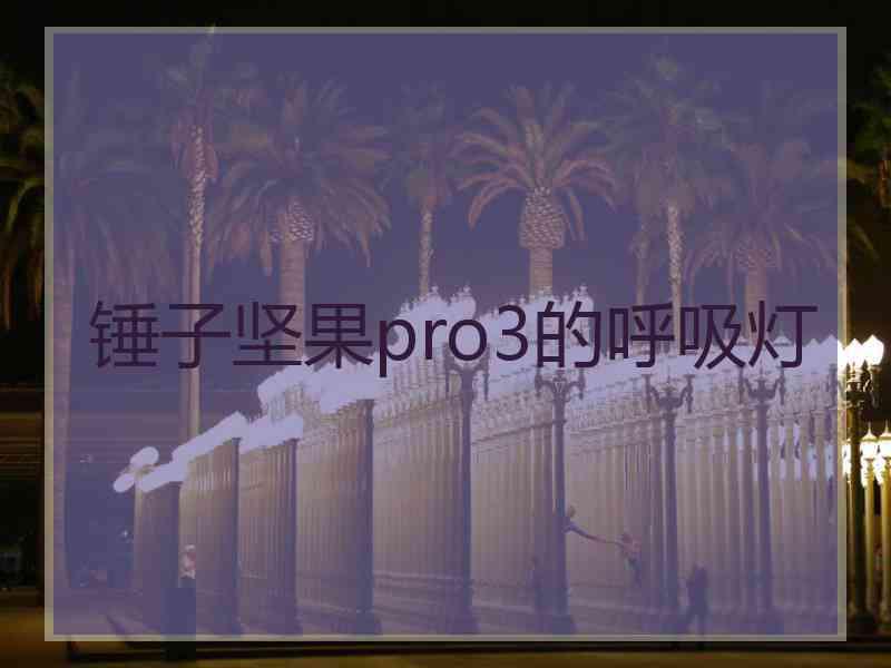 锤子坚果pro3的呼吸灯