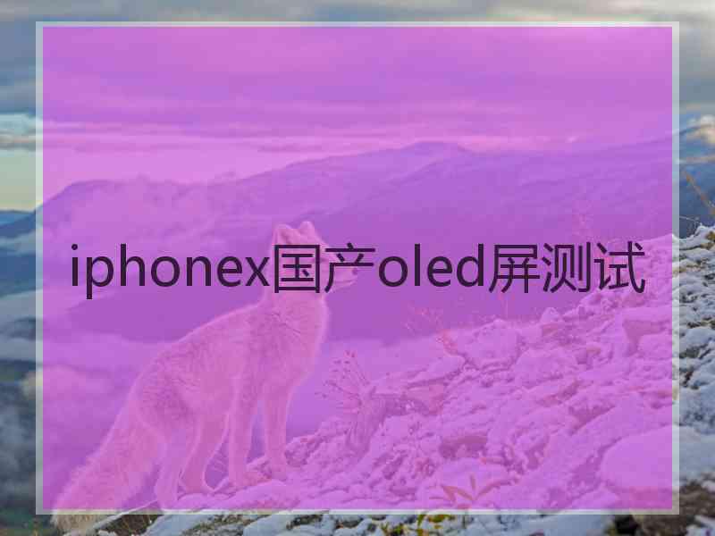 iphonex国产oled屏测试