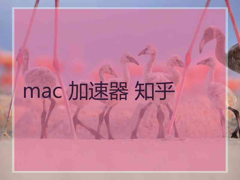 mac 加速器 知乎