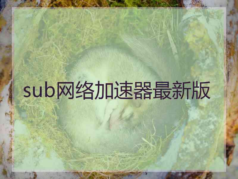 sub网络加速器最新版