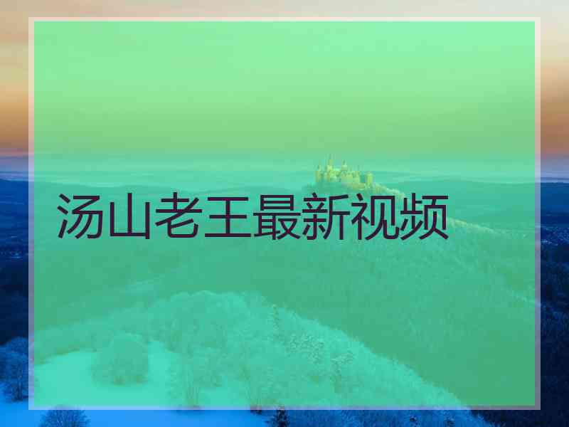 汤山老王最新视频