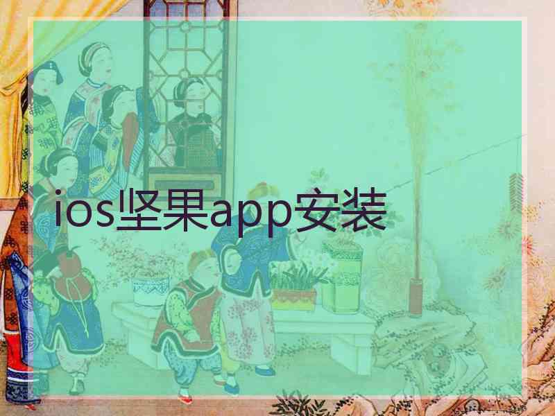 ios坚果app安装