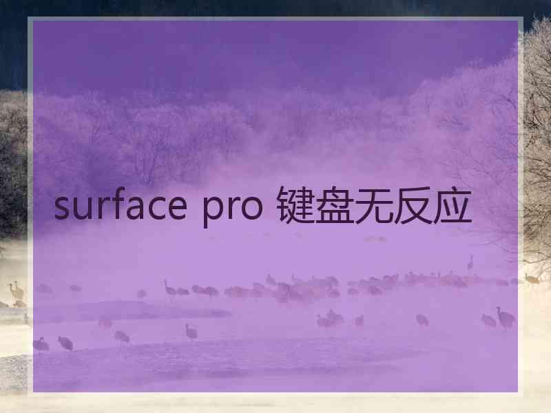 surface pro 键盘无反应