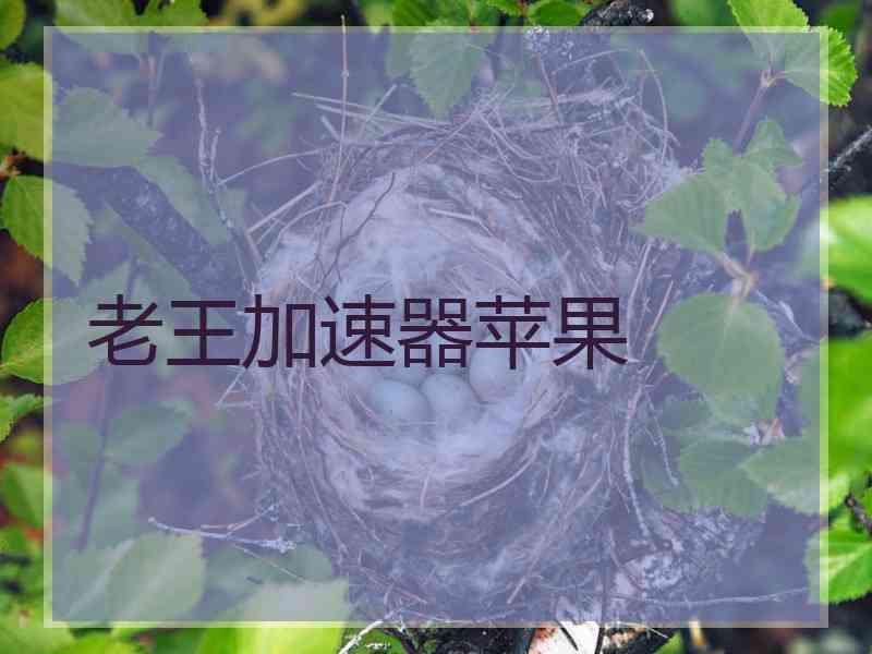 老王加速器苹果