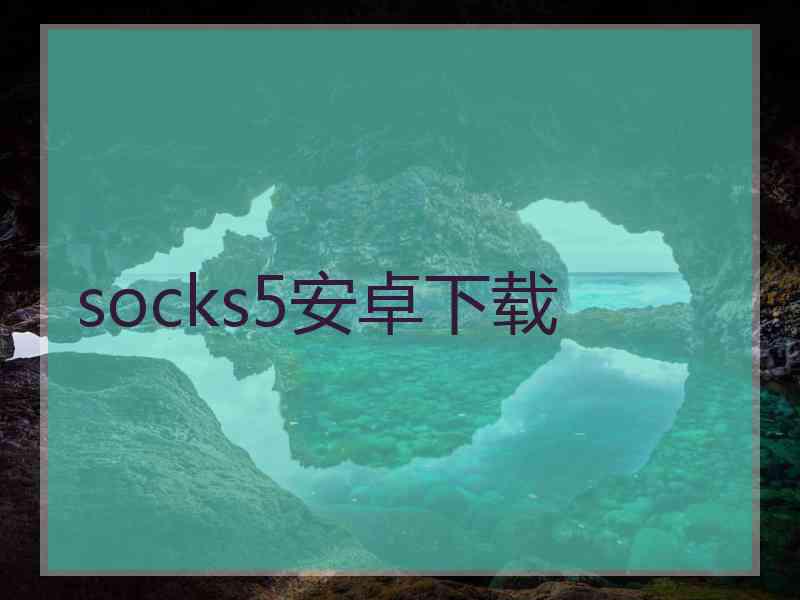 socks5安卓下载