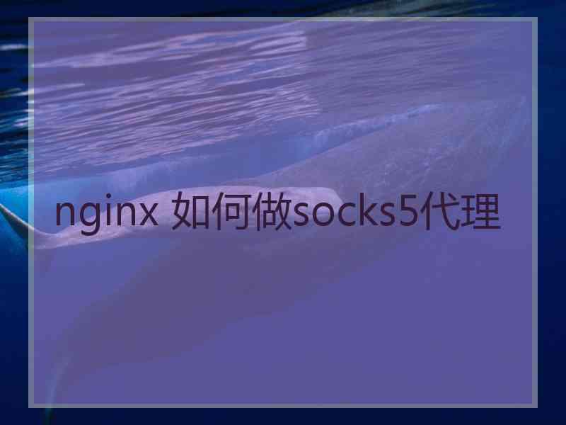 nginx 如何做socks5代理