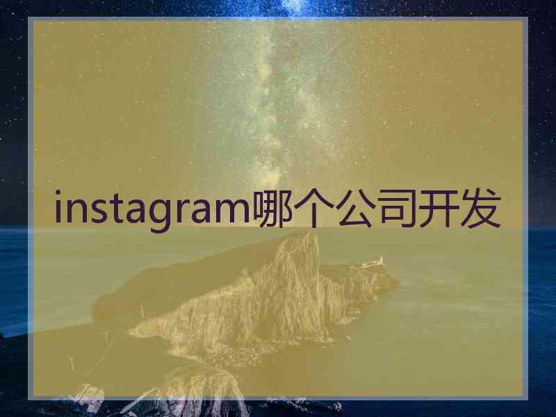 instagram哪个公司开发