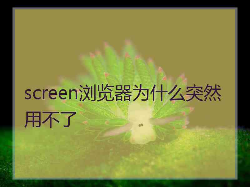 screen浏览器为什么突然用不了