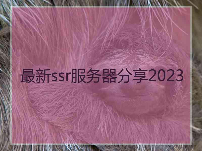 最新ssr服务器分享2023