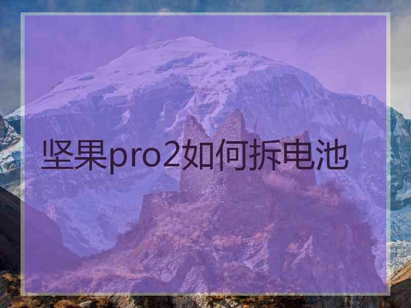 坚果pro2如何拆电池