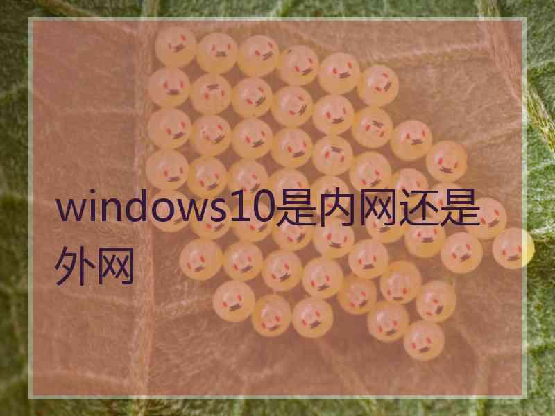 windows10是内网还是外网