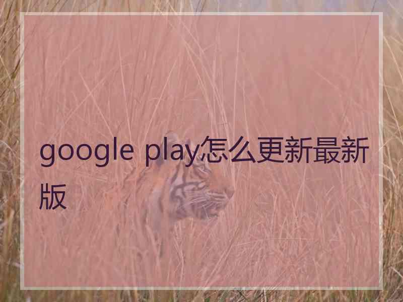 google play怎么更新最新版