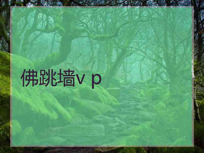 佛跳墙v p