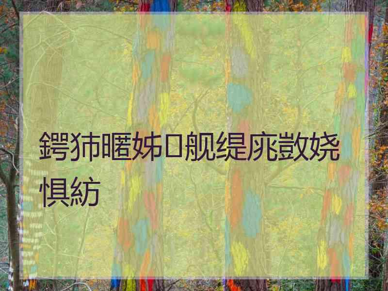 鍔犻暱姊舰缇庣敳娆惧紡