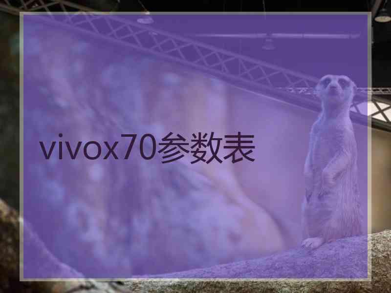 vivox70参数表