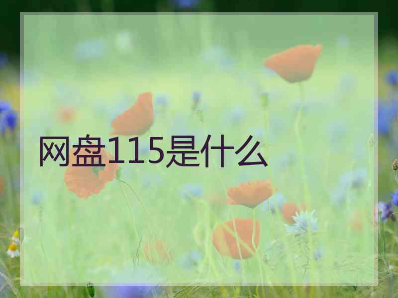 网盘115是什么