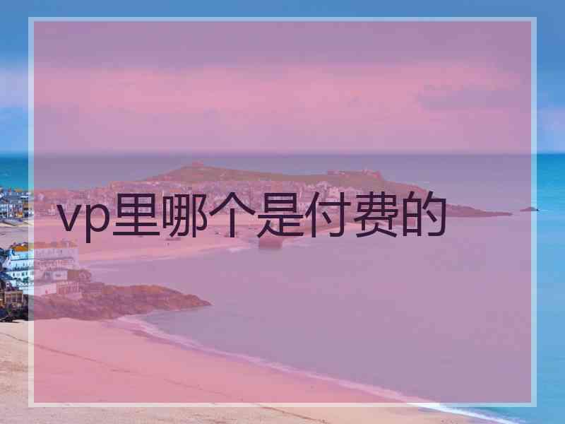 vp里哪个是付费的