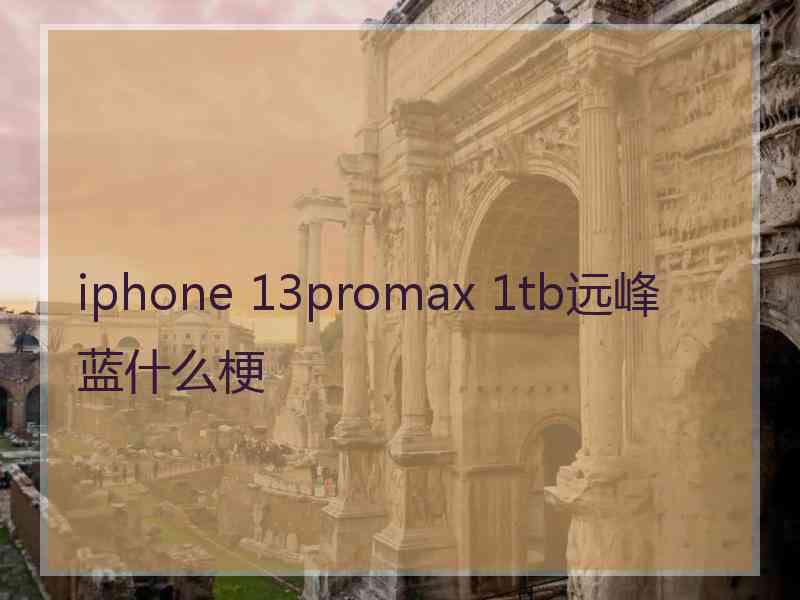 iphone 13promax 1tb远峰蓝什么梗