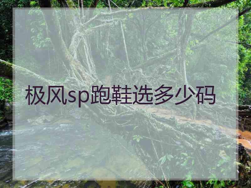 极风sp跑鞋选多少码