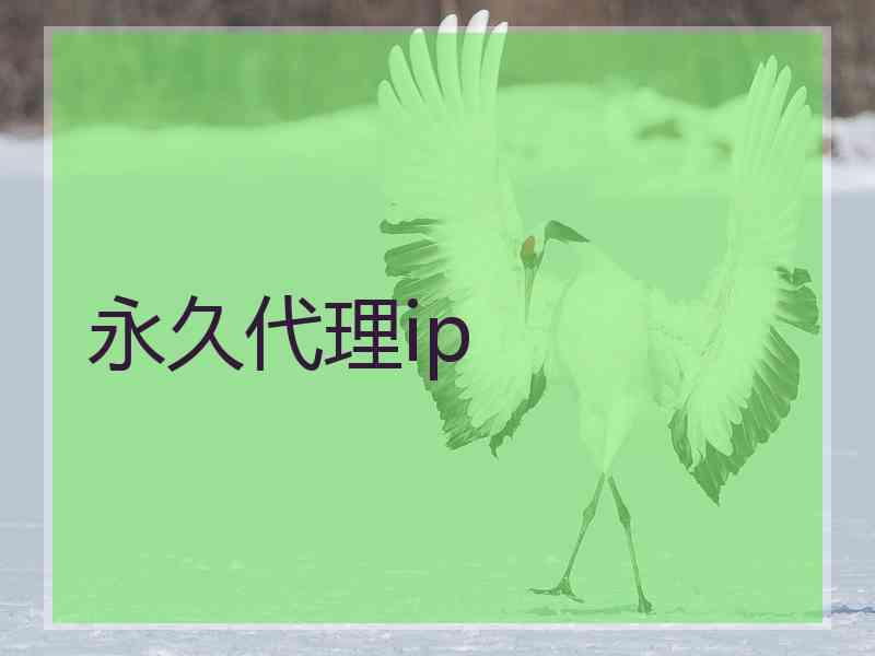 永久代理ip